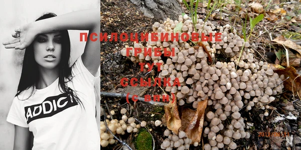 амф Киреевск