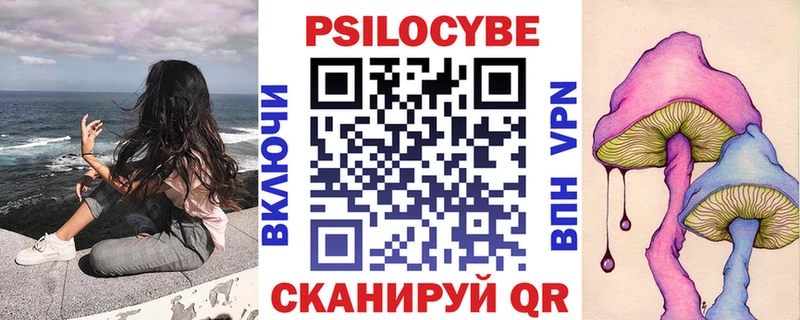 Купить закладки  Ефремов  Псилоцибиновые грибы мухоморы 